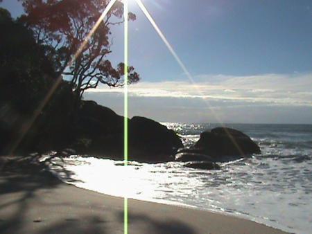 premier poisson sur ce rocher