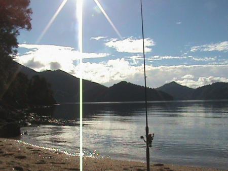 ce jour la plus de40 poisson peche dans les fiords
