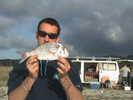 petit snapper dorade